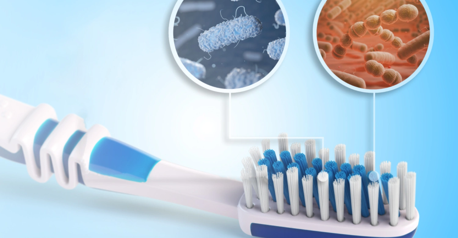 Toothbrush Bacteria inblog